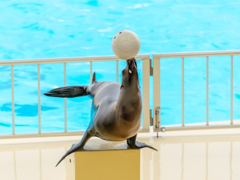 好き＆行ってみたい「九州・沖縄の水族館」ランキング！ 2位「マリンワールド海の中道」、1位は？ - All About ニュース