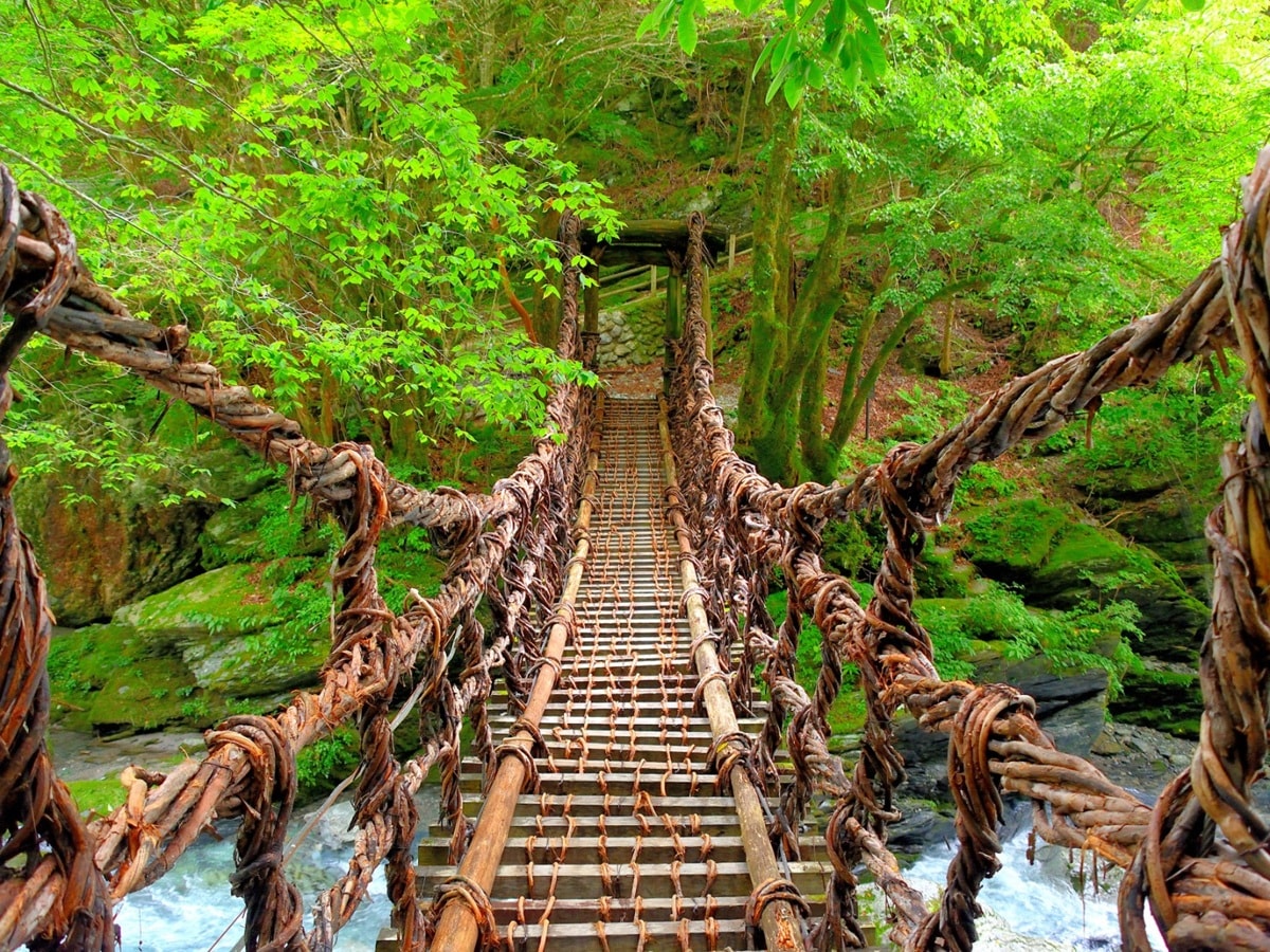 夏に行きたい「徳島県の避暑観光地」ランキング