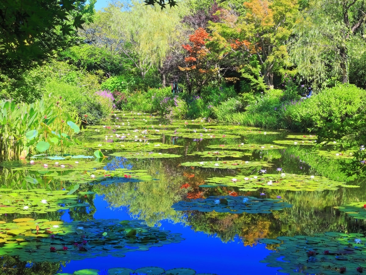 夏に行きたい「高知県の避暑観光地」ランキング