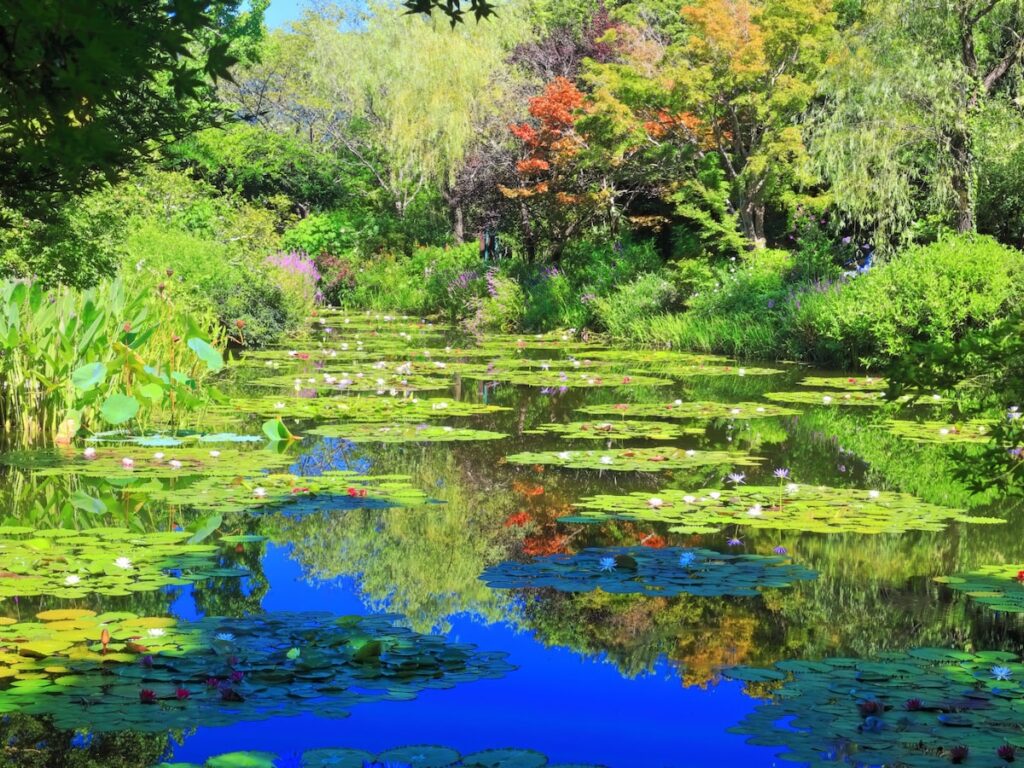 夏に行きたい「高知県の避暑観光地」ランキング! 「北川村『モネの庭』マルモッタン」を抑えた1位は?【2025年調査】 – All About ニュース 夏に行きたい「高知県の避暑観光地」ランキング! 「北川村『モネの庭』マルモッタン」を抑えた1位は?【2025年調査】 - All About ニュース