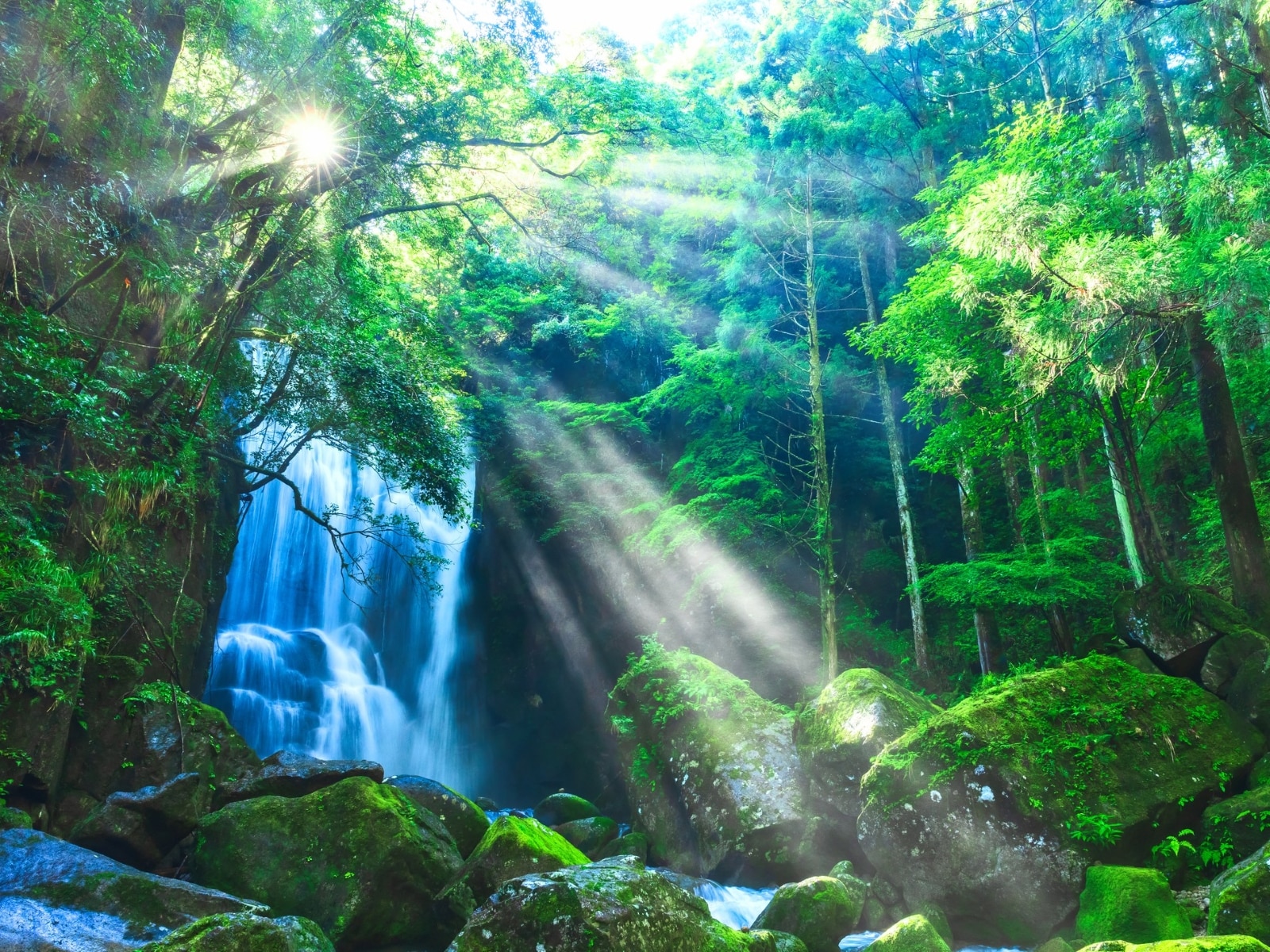 夏に行きたい「和歌山県の穴場秘境」ランキング