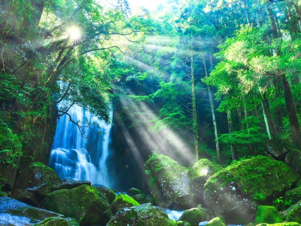 夏に行きたい「和歌山県の穴場秘境」ランキング！ 2位は「七川ダム湖」、1位は？【2025年調査】 - All About ニュース