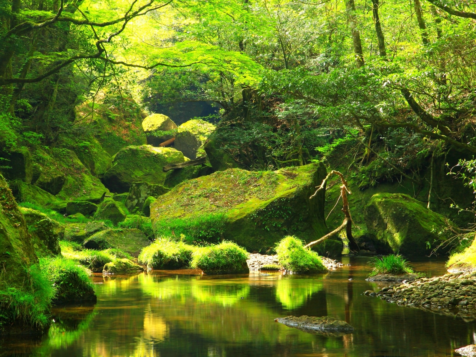 「夏に行きたい大分県の穴場秘境」ランキング