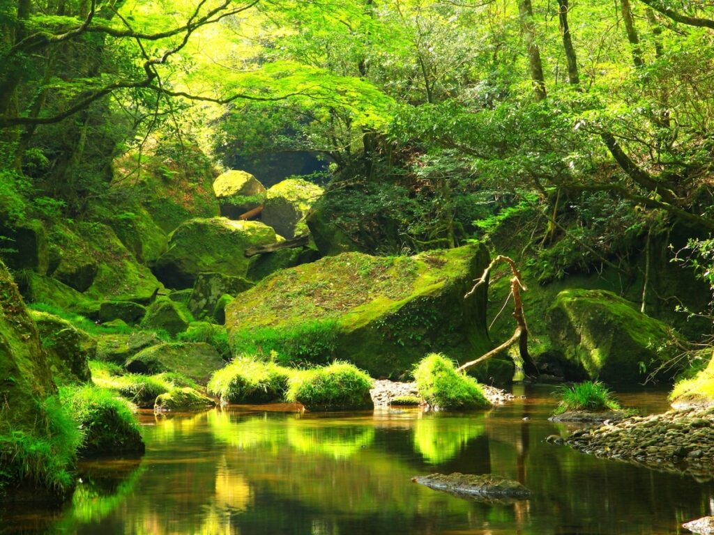 夏に行きたい「大分県の穴場秘境」ランキング！ 2位「深耶馬溪」、1位は？【2025年調査】 - All About ニュース