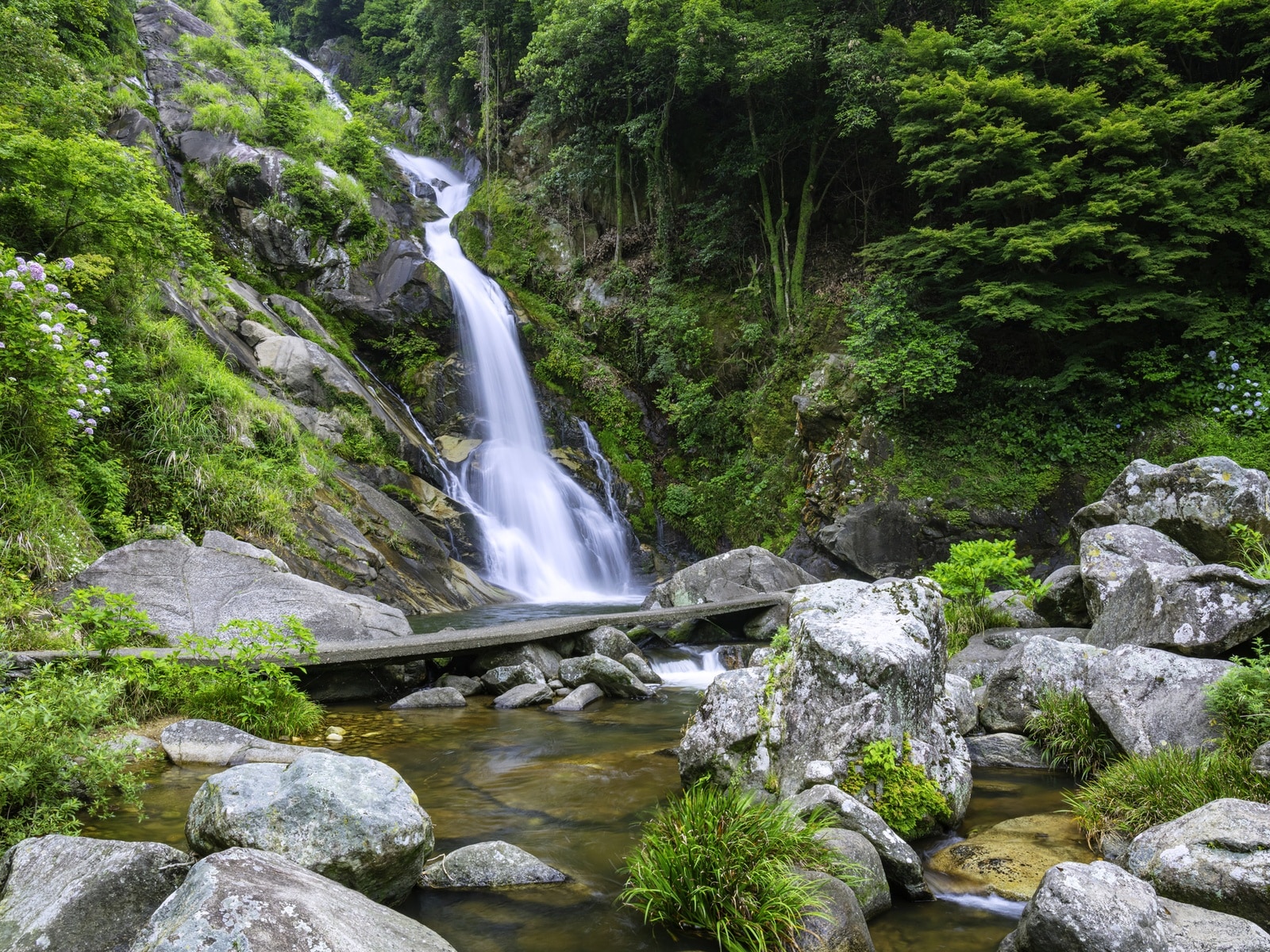 「夏に行きたい佐賀県の穴場秘境」ランキング