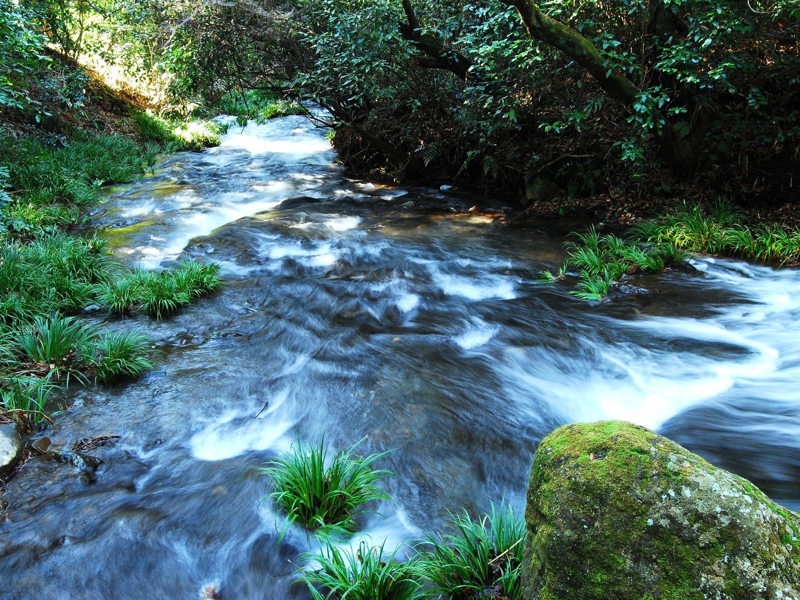「夏に行きたい熊本県の穴場秘境」ランキング