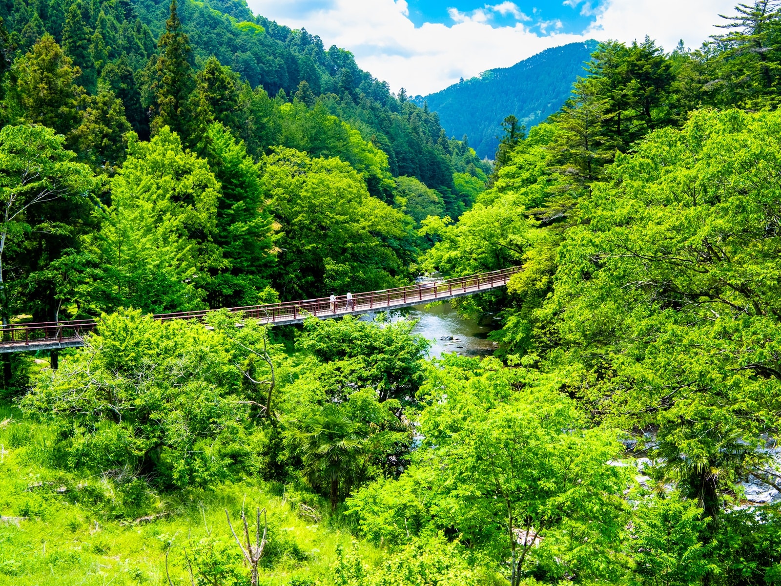 夏に行きたい「東京都の絶景ドライブスポット」ランキング