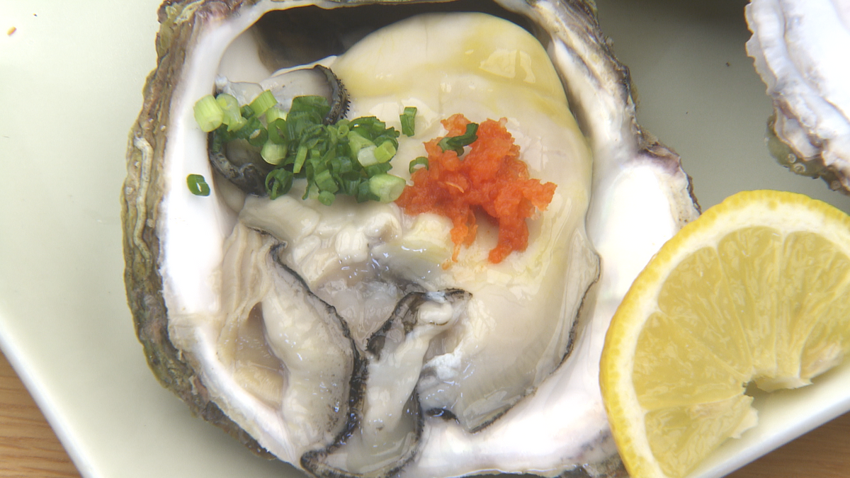 重さ300グラムと大粒で味は濃厚「今が旬！戸石の養殖イワガキ」長崎市内5店舗で提供《長崎》
