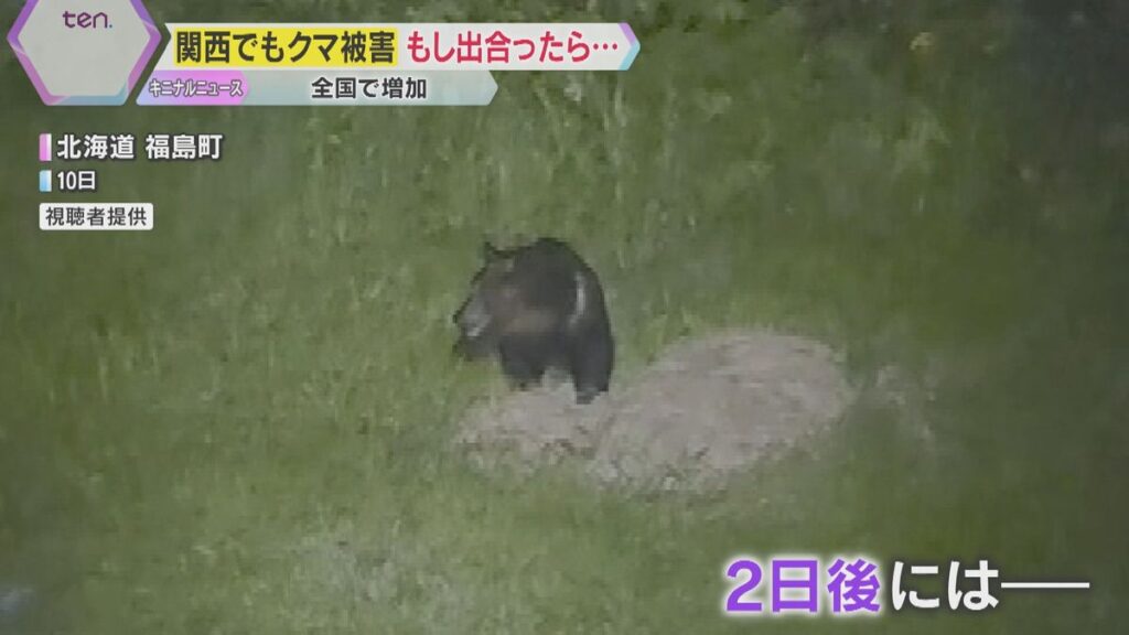 読売テレビ