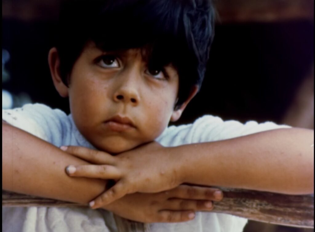 新たなペルーに出会う 「ペルー映画祭 vol.3」予告映像公開 - otocoto