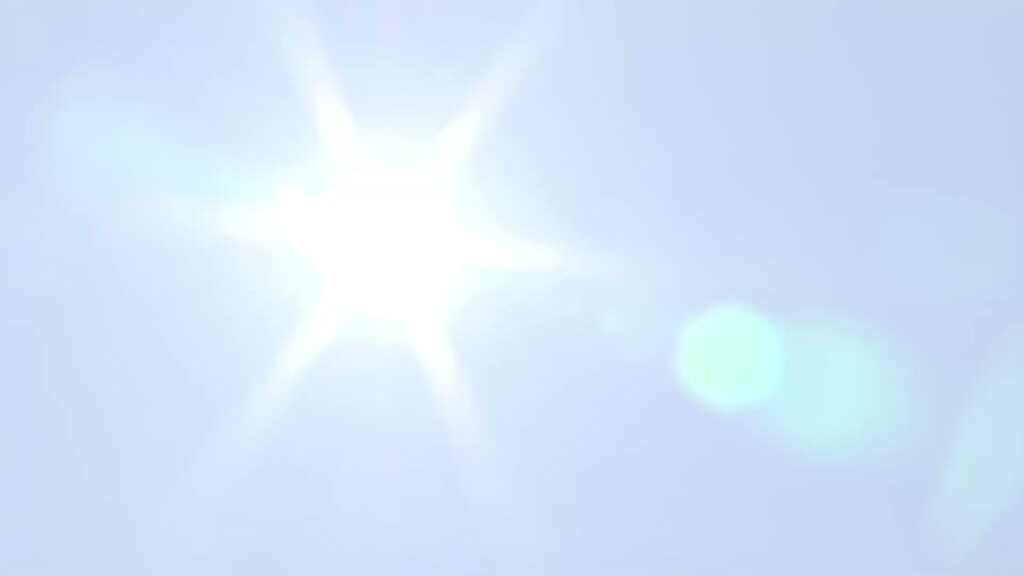 共有