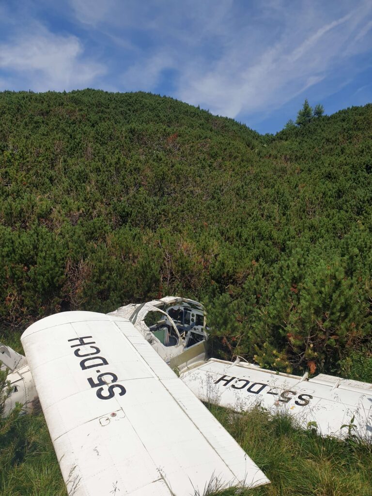 私は馬の下の航空機の難破船を訪れました