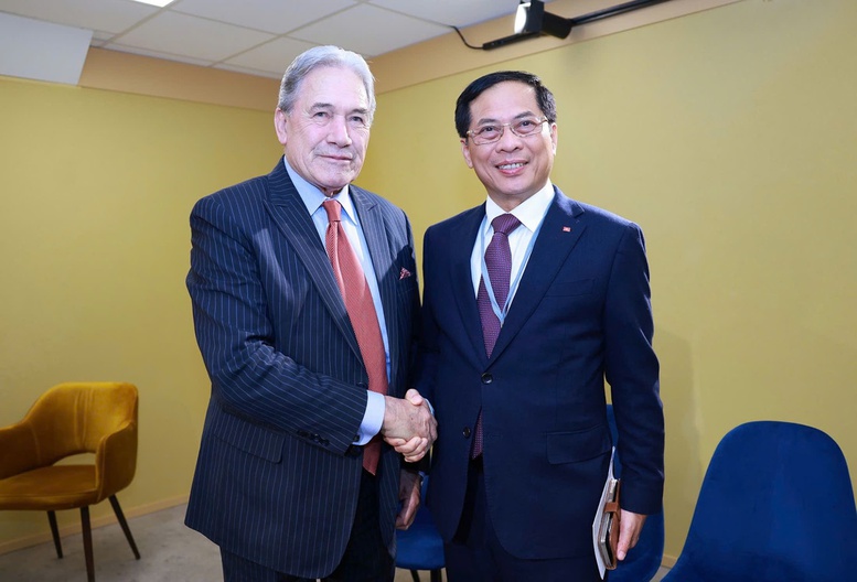 Phó Thủ tướng, Bộ trưởng Bộ Ngoại giao Bùi Thanh Sơn tiếp Bộ trưởng Ngoại giao New Zealand- Ảnh 1.