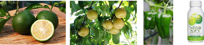 マルシェに出品される大分産の商品。左からカボス、日田梨、ピーマン、つぶらなカボス