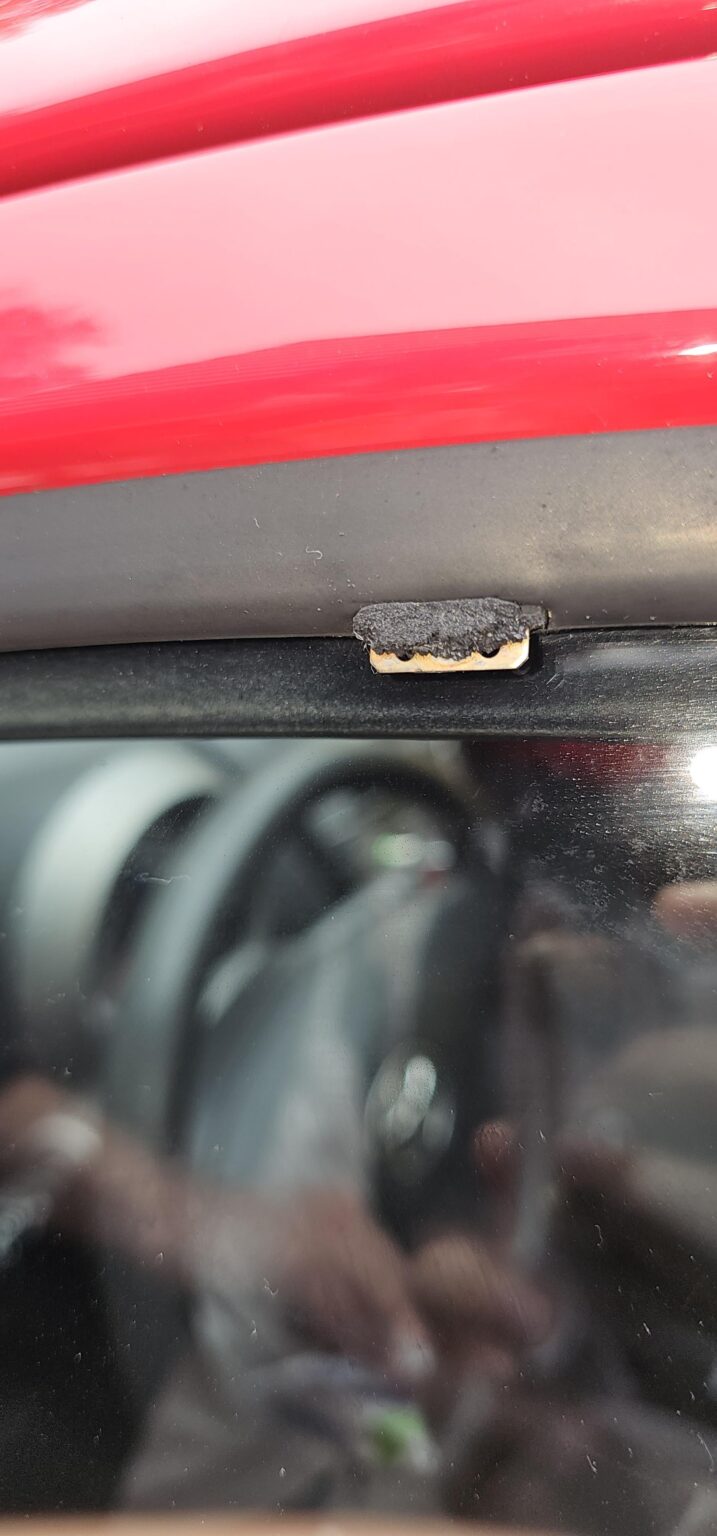 誰かがこれが何であるか知っていますか？今朝私の車の両側で見ました
