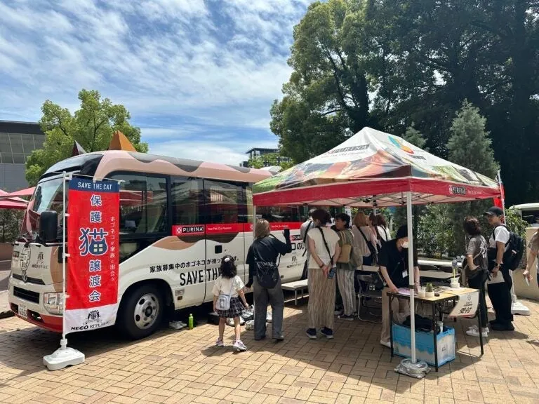 ネコのバス 車内イメージ