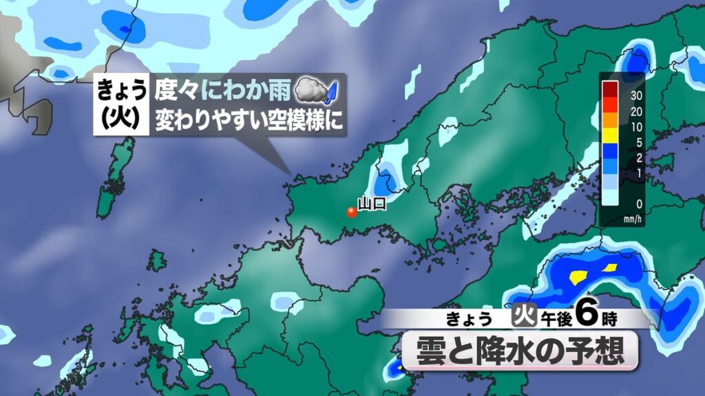 共有