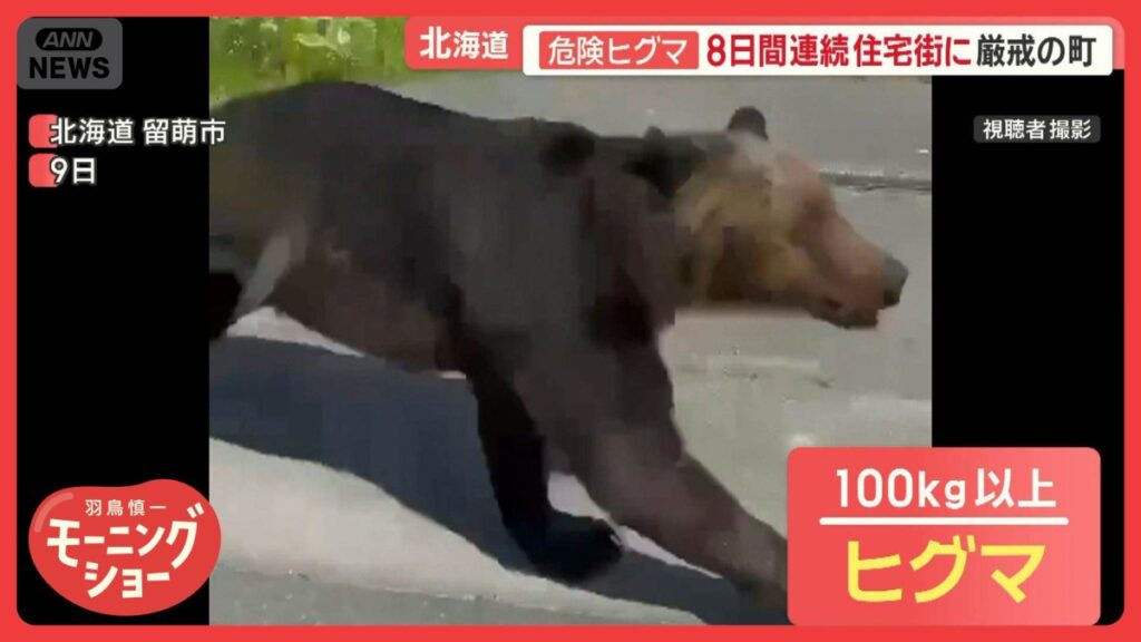 危険ヒグマ 8日連続で北海道の住宅街に 近隣住民「用事がない限り出ないように」 - テレ朝NEWS
