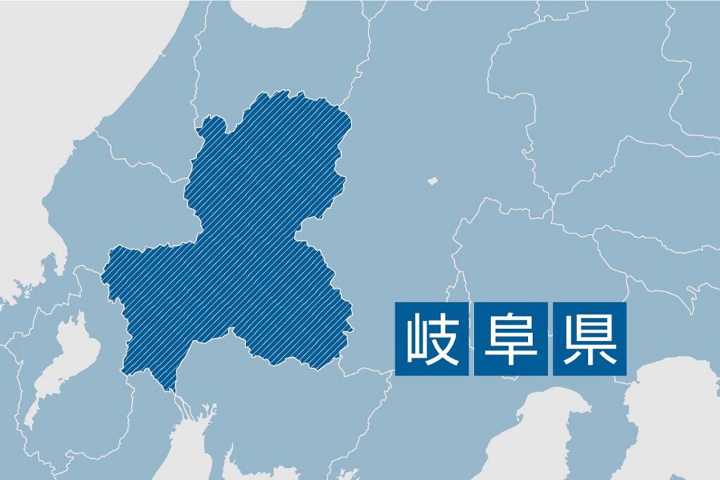 岐阜県のLRT整備構想、岐阜市の商店街連合会が「歓迎」 岐阜市長は懸念も - 中日新聞Web