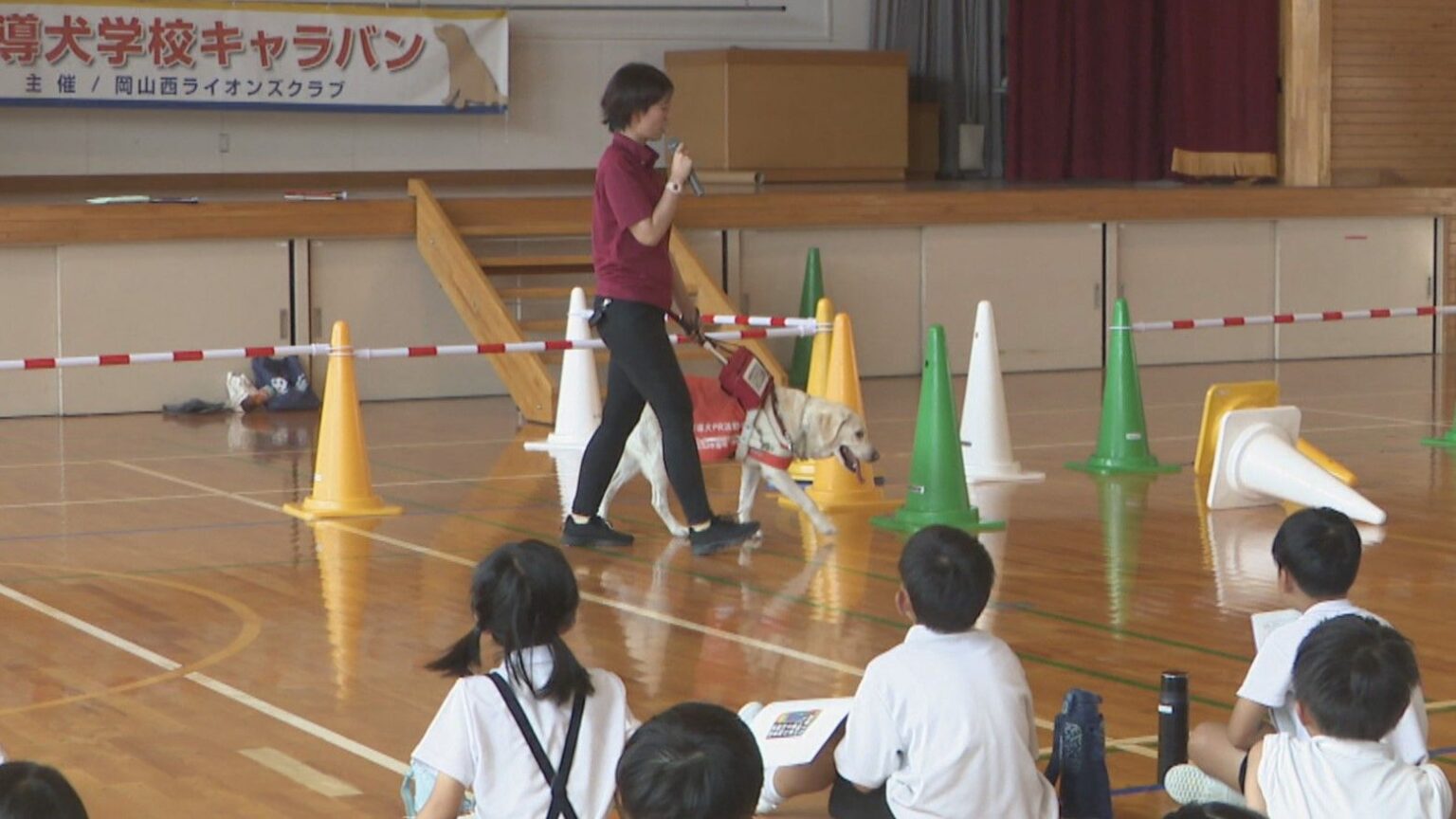 児童が盲導犬の役割など学ぶ　岡山市の小学校で出前授業 | KSBニュース | KSB瀬戸内海放送
