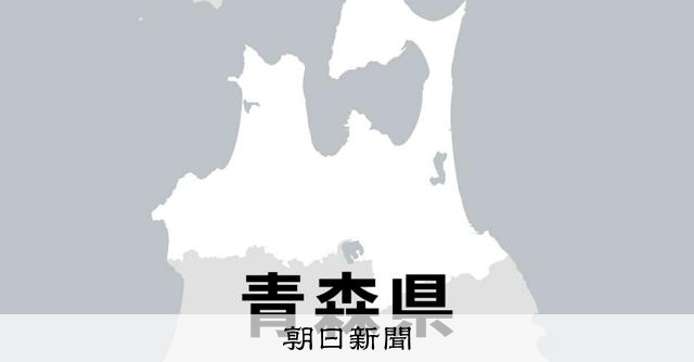 五所川原一と弘前工が決勝へ　軟式高校野球選手権青森大会 - 高校野球 [青森県]：朝日新聞