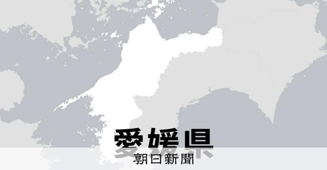 熱い闘い始まる　全国高校野球選手権愛媛大会、11日に開会式 - 高校野球 [愛媛県]：朝日新聞