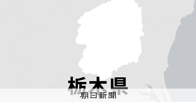 4年ぶり作新か、35年ぶり青藍か　高校野球栃木大会、きょう決勝 - 高校野球 [栃木県]：朝日新聞