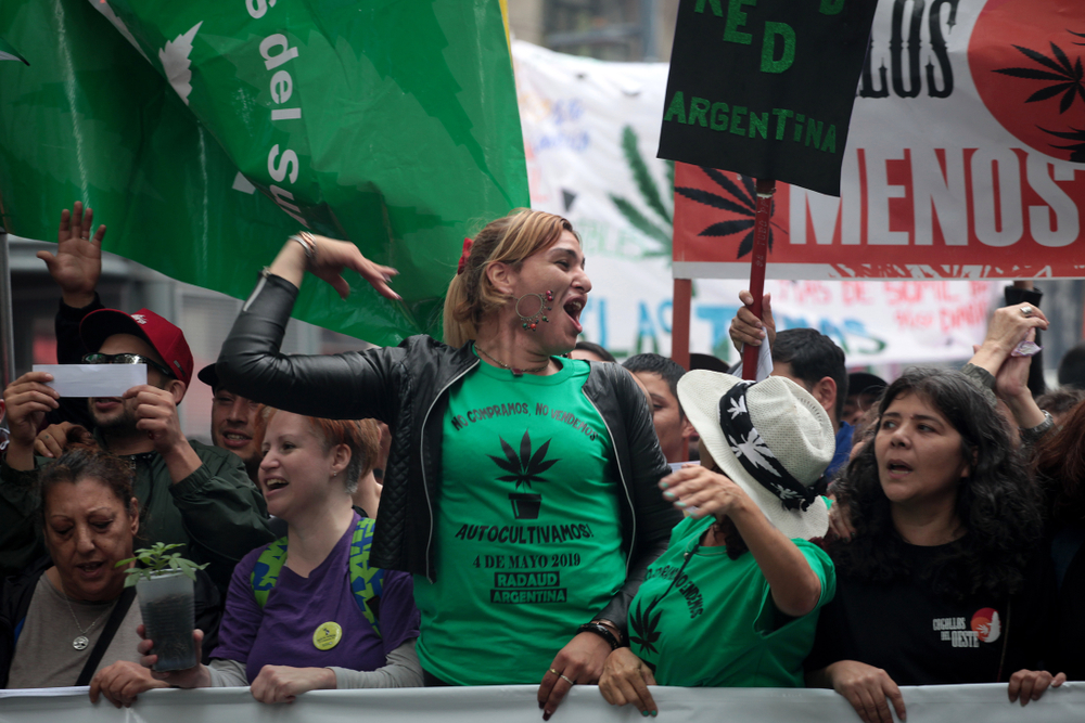 アルゼンチンの大麻：勝利と逆転の物語 - TalkingDrugs