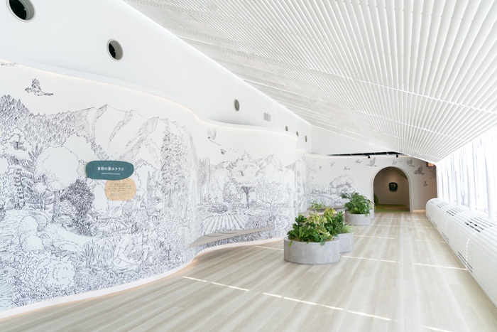 自然環境ゾーンの画像