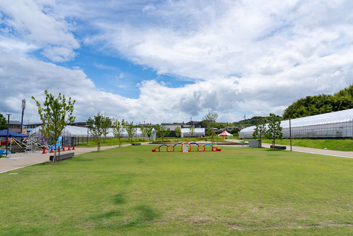 タナクロの画像