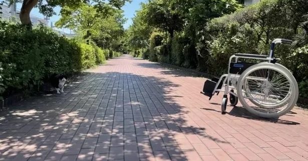 沖縄県、民生・児童委員を募集　充足率78％、全国平均を大きく下回る - 琉球新報デジタル