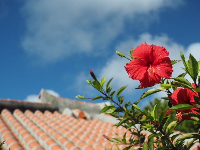 沖縄の宿泊税　「部活派遣」の免除検討　離島からの通院補助拡大も - 琉球新報デジタル