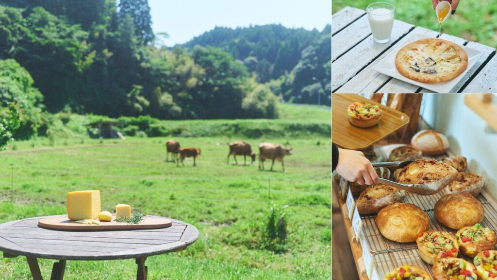 週末、千葉で。＃チバケーション　発酵の力を体感！チーズとパン尽くしの旅へ - OZmall
