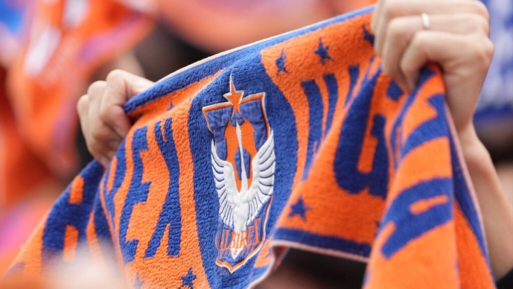 アルビレックス新潟が狙うべき夏の補強候補5選【J1リーグ2025】 | 2ページ目 (2ページ中) | Football Tribe Japan