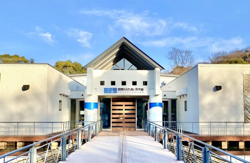 【相模原市中央区】お出かけの参考に。今週末2025/6/28(土)～29(日)に区内で楽しめるイベントをまとめました