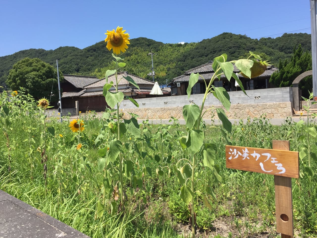 沙美カフェ　しろ