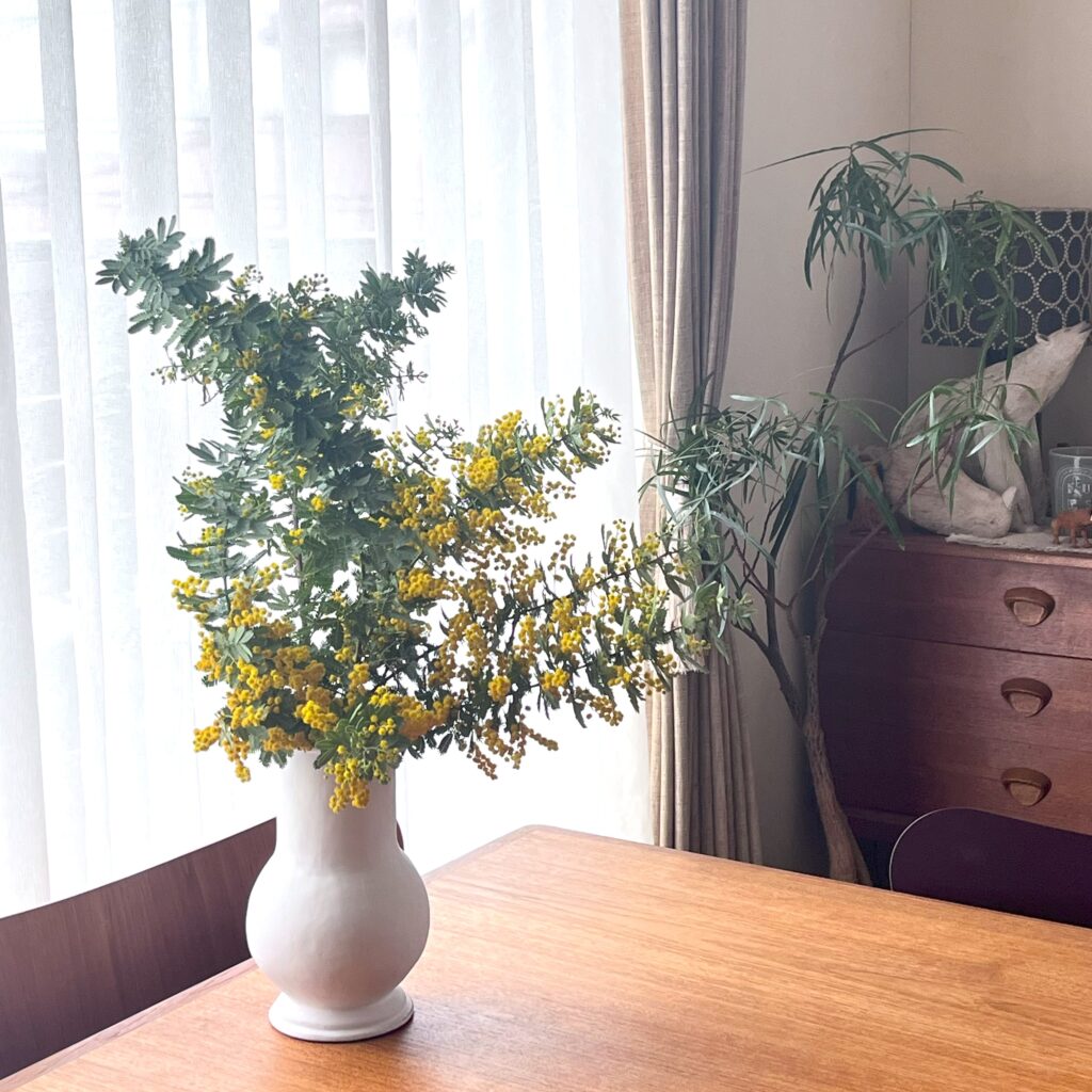 ミモザのある暮らし　春の花