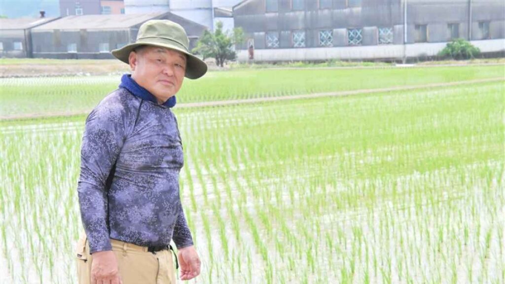 コメ作り続けられるか 政策転換に熊本県内農家も不安 - 熊本日日新聞社