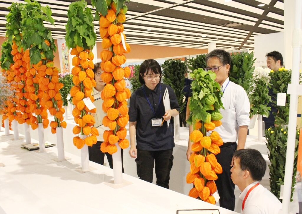 大分市で県花き展始まる　農林水産大臣賞に首藤さん - 大分のニュースなら 大分合同新聞プレミアムオンライン Gate