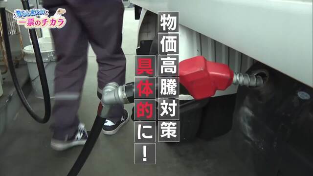 参院選・物価高騰対策を【徳島・高知】の候補者4人に聞く « 高知のニュース - 高知さんさんテレビ
