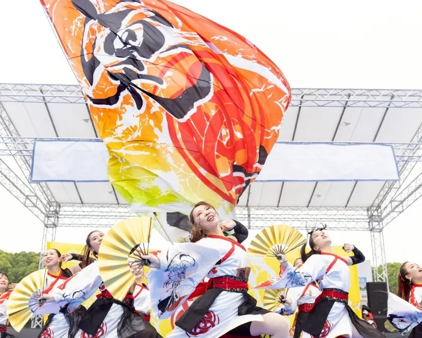 凜空演舞写真