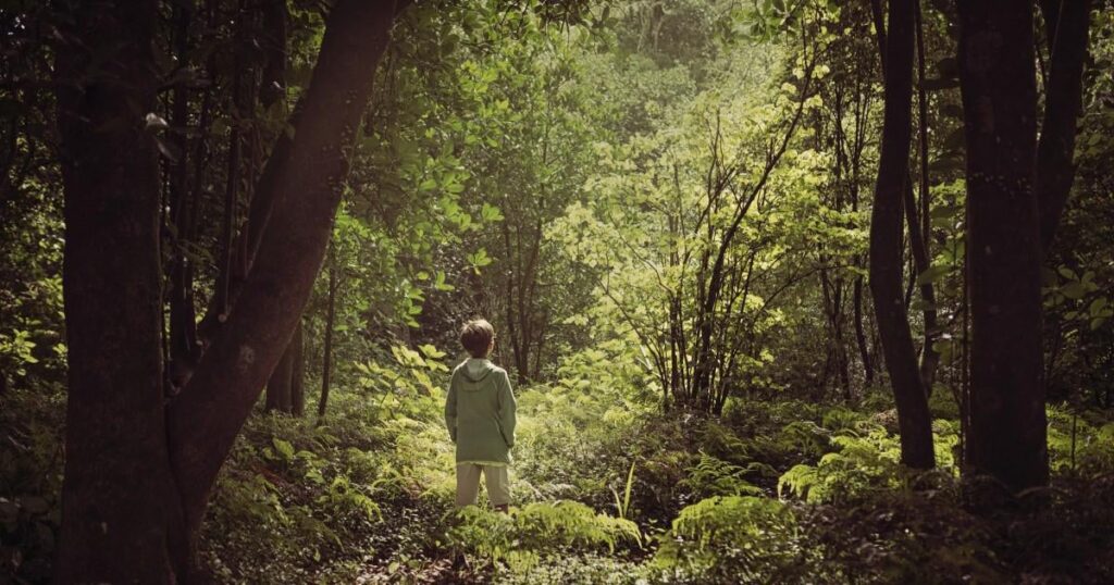 進化生物学者が、ニュージーランドの森で出会った「ヤバすぎる虫」…「醜い者たちの神」という意味を持つ虫の正体