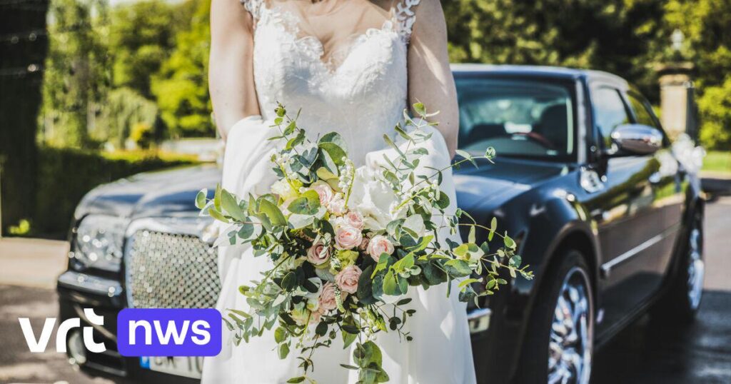 7プールでのN16での結婚式の行列の後に撤回された運転免許証：「彼らはじっと立っていて、外に出て、交通を妨げました」| VRT NWS：ニュース