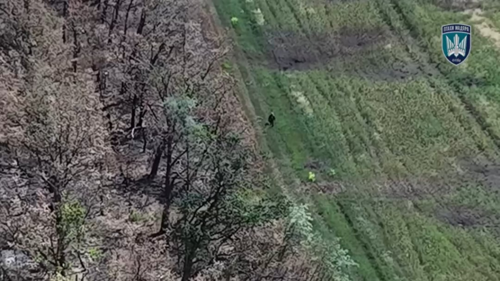 ドローンを落とした手ren弾に負傷した後、ロシアの侵略者は自分の手ren弾で自殺しました。ストライキは、ウクライナの第414番目のUAV旅団「鳥の鳥」によって行われました。ビデオは2025年7月27日に投稿されました