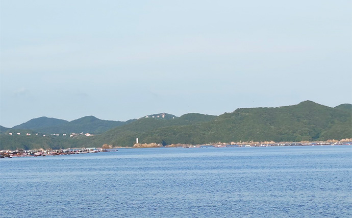 よこしまな思いでアジング大会に参加してみた【三重】気づけばガチの挑戦に？