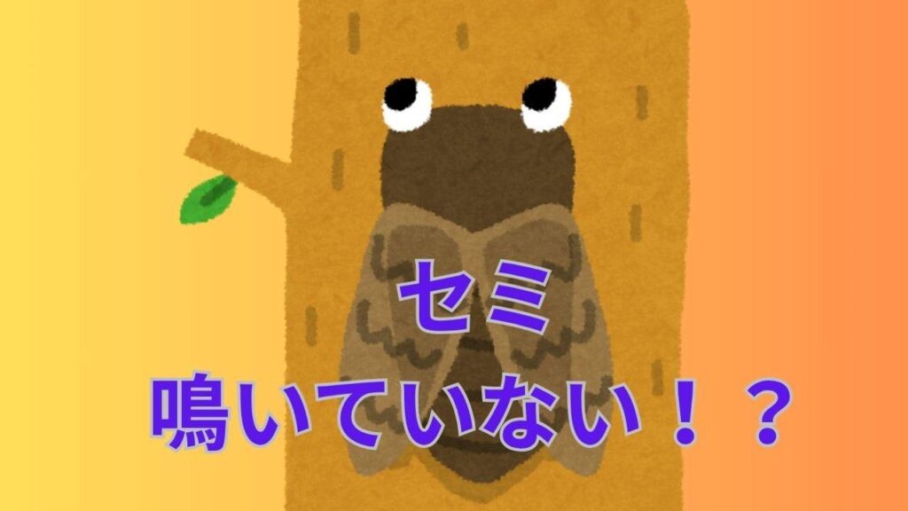 「セミが鳴いていない!?」空梅雨と急激な暑さで羽化に失敗か「35℃を超えるとあまり鳴かなくなる」