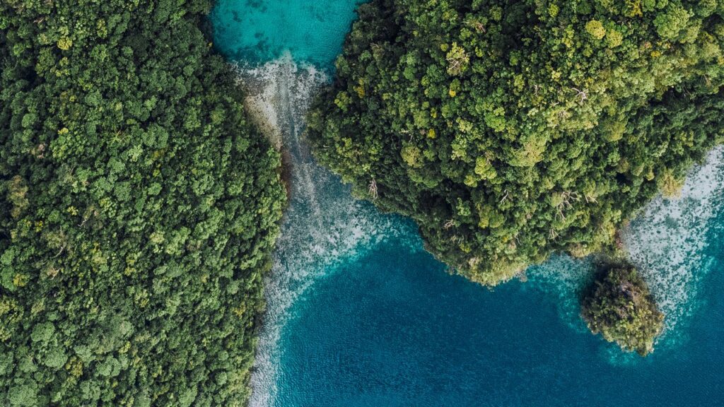 ペルーの世界一レストランからフィリピンの離島へ。Rootsのメンバーが目指す新しい食のかたち | Vogue Japan