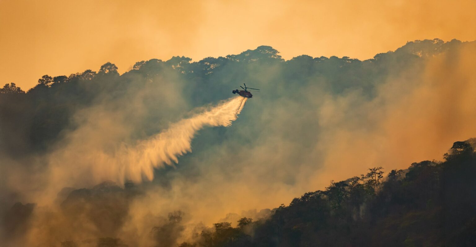 Wildfire Map Spotlight：韓国の史上最悪の山火事