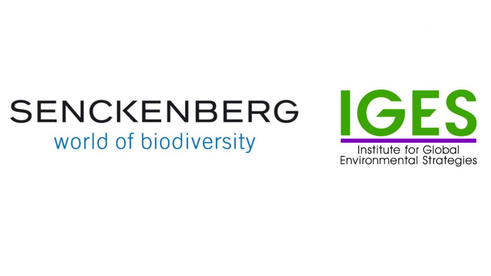 Germany-Japan Collaborative Biodiversity Research | DWIH Tokyo