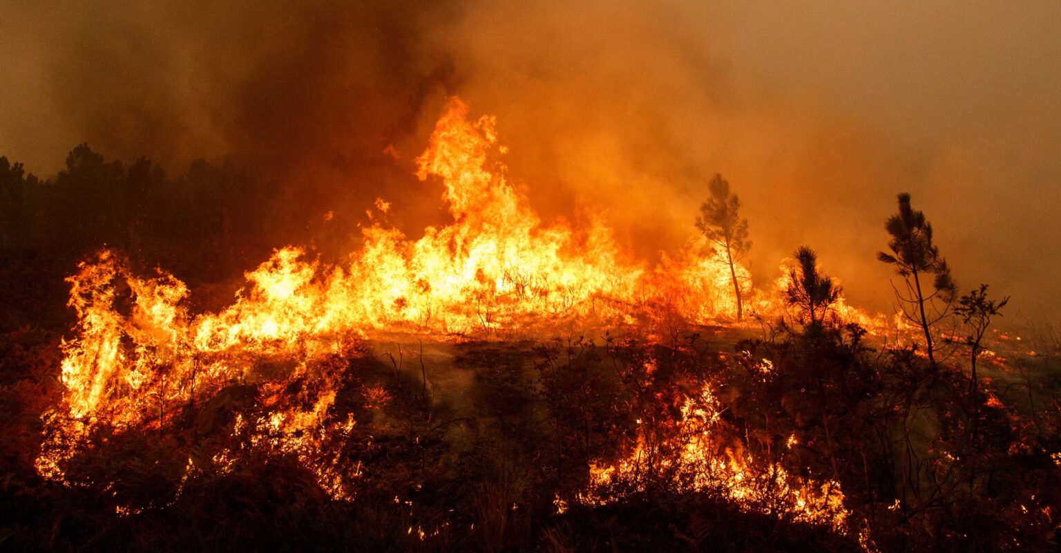Wildfire Map Spotlight：Mentrida Fire、スペイン